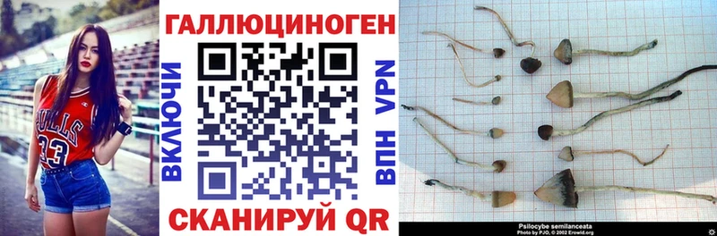 дарнет шоп Бирск Галлюциногенные грибы GOLDEN TEACHER